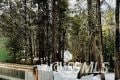 10913 Elm Dr, Wofford Heights, CA 93285