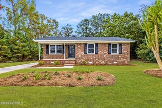 378 Hines Dr, Ayden, NC 28513