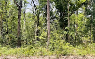 LOT42 SW 76th Dr, Jasper, FL 32052