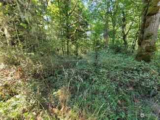 4 XX Lakenes Rd, Quilcene, WA 98376
