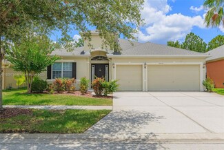 20034 Bluff Oak Blvd, Tampa, FL 33647