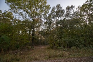 00 Hope Plantation Ln, Jacksonboro, SC 29452