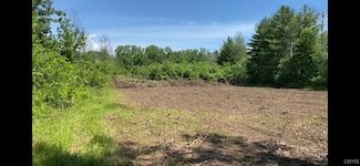 1003 Moore Rd, Sullivan, NY 13082