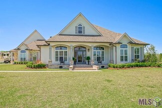 10513 Buddy Gore Rd, Gonzales, LA 70737