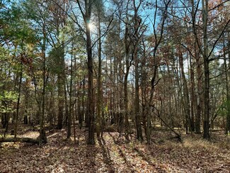 10057 Peppermill Ln Unit 155, Canadian Lakes, MI 49346
