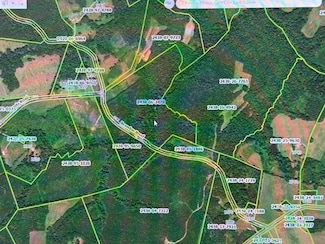 42.9 AC Brandon Rd, Chatham, VA 24531