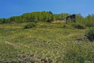 0 Unknown Rd Unit REC6406990, Cripple Creek, CO 80813