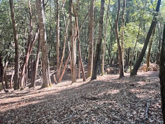 26093 Otter Dr, Brooktrails, CA 95490