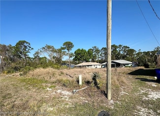 335 Tern Ave, Sebring, FL 33870