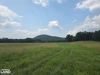 0 State Hwy 21, Sycamore, AL 35149