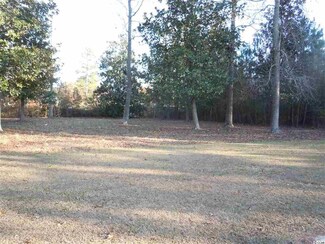 185 McGougan St, Tabor City, NC 28463