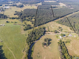 98 Acres County Road 23, Mount Hope, AL 35651