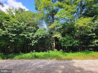 0 Whitetail Crossing Rd, Walker Township, PA 18252