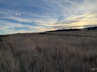 TBD Deer Loop Rd (32 Ac), Council, ID 83612