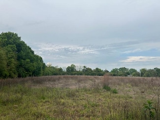 TBD Bloomville Rd, Manning, SC 29102