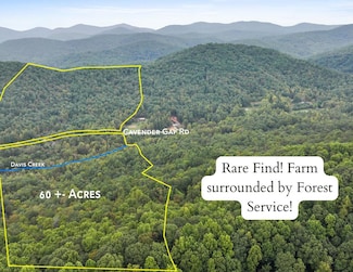 1955 Cavender Gap Rd, Suches, GA 30572