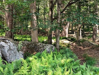 Tbd Andrew Ln, White Lake, NY 12786