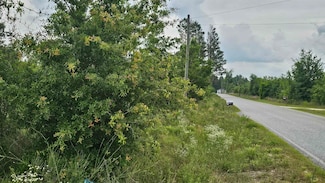 0 NE Beulah Church Rd Unit 386534, Lee, FL 32059