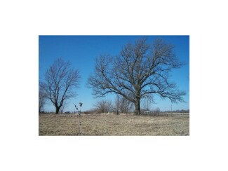 0 E Gunn City Rd Unit 2030865, Garden City, MO 64747