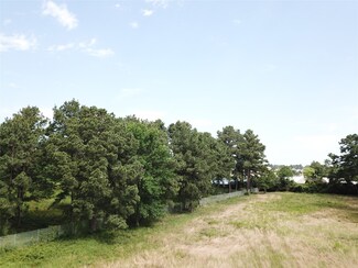 803 Lizzie Ln, Tomball, TX 77375
