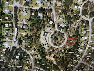 12 Smilax Ct S, Homosassa, FL 34446