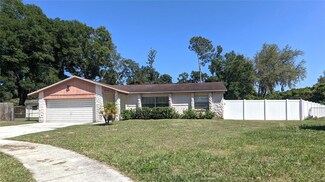 323 Black Oak Ct, Seffner, FL 33584