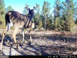 0 N Indian Trail Rd, Sandersville, GA 31082