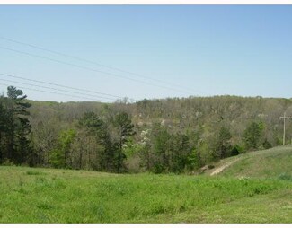 0 40 Acres Reti Rd Unit 658740, Pineville, MO 64856