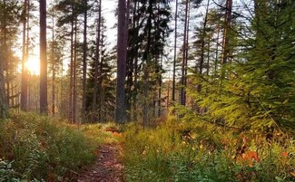 3719 Bradford St NE, Grand Rapids, MI 49525