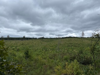 0 Shockley Rd Unit 18562557, Millport, AL 35576