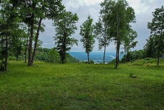640 River Bluffs Dr, Jasper, TN 37347