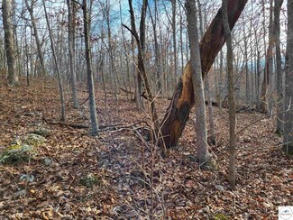 0 Lazy Acres Dr, Adair Township, MO 65326