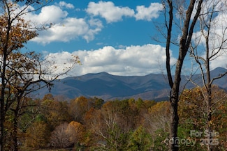 154 S Slope Ln Unit 18, Old Fort, NC 28762