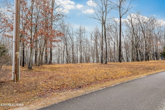 1280 Overlook Cir, Cookeville, TN 38506