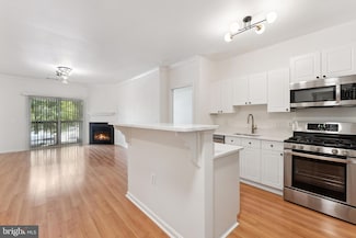 3851 Aristotle Ct Unit 1-317, Fairfax, VA 22030
