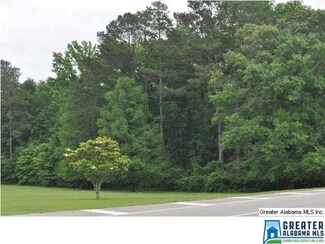 0 Highway 82 Unit 3.4+/AC 632850, Maplesville, AL 36750