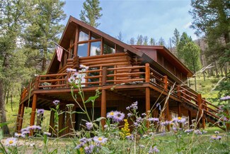 40 Stagecoach Dr, South Fork, CO 81154
