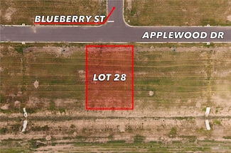 28 Applewood St, Weslaco, TX 78596