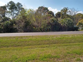 0 Highway Us 1 Unit 1074088, Oak Hill, FL 32759