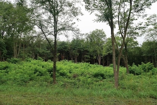 0 Highfield Rd, Fabius Township, MI 49093