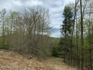 L4 Alder Brook Rd, Brant Lake, NY 12815