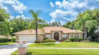 2330 Timbergrove Dr, Valrico, FL 33596