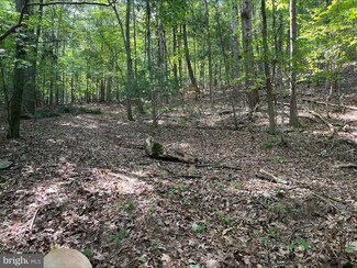 0 Dry Creek Rd, Luray, VA 22835