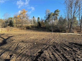 9465 State Route 243, Farmersville Station, NY 14060