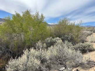 740 Chiatovich Creek Rd, Dyer, NV 89010