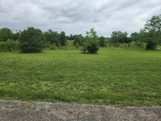 Lot 9 Country Music Ln, Flat Creek B Township, MO 65656