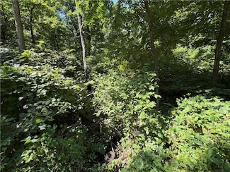 53,57,61 & 65 Locust Dr, Mound City Township, KS 66056