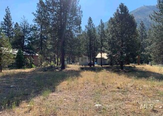 TBD Lot 3 W River Dr, Lowman, ID 83637