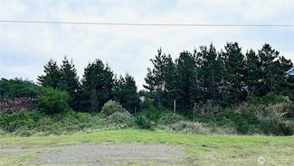 568 Point Brown Ave NE, Ocean Shores, WA 98569