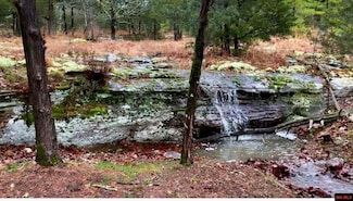 371-00010-005 Pine St, Calico Rock, AR 72519